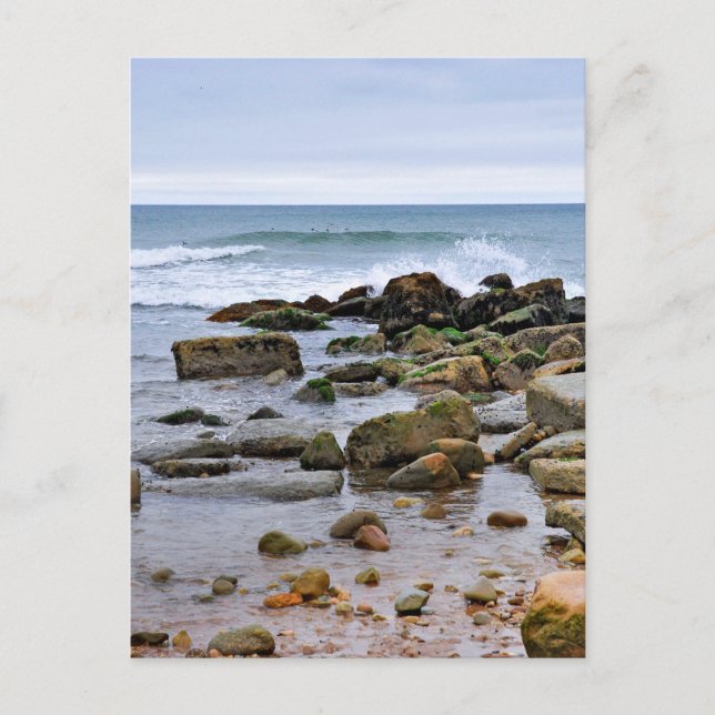 Carte Postale The Rocky Beaches of Montauk, Long Island, NY (Devant)