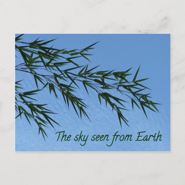 Carte Postale the sky seen from earth (Devant)