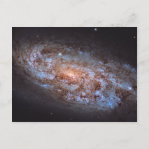 Carte Postale The Stellar Forge