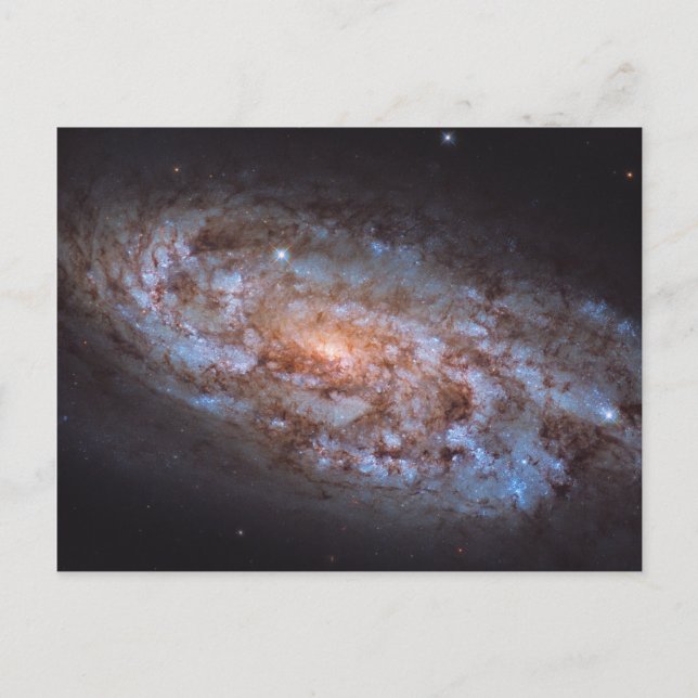 Carte Postale The Stellar Forge (Devant)