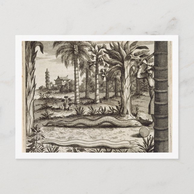 Carte Postale The Stone Snake, from 'China Illustrated' by Athan (Devant)