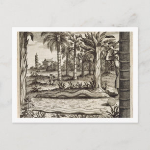 Carte Postale The Stone Snake, from 'China Illustrated' by Athan