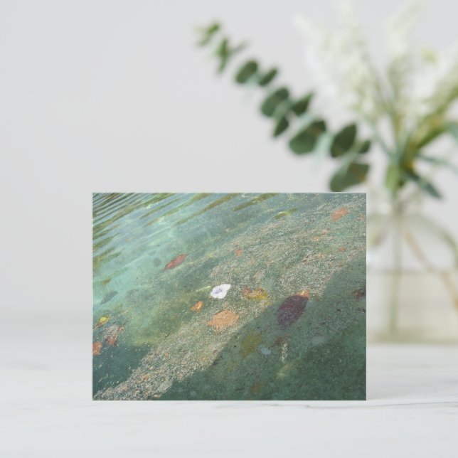 Carte Postale The water's surface in October (Debout devant)