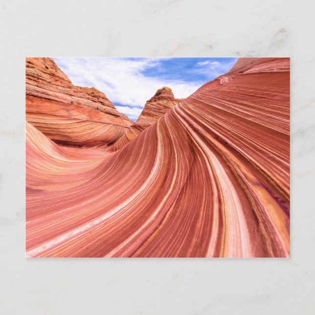 Carte Postale The Wave Sandstone Rock Formation (Devant)