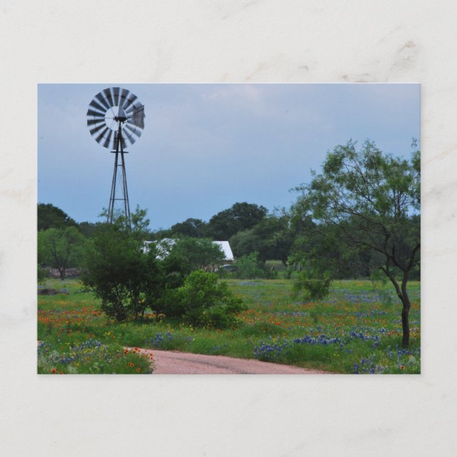 Carte Postale The Windmill in the Wildflowers (Devant)