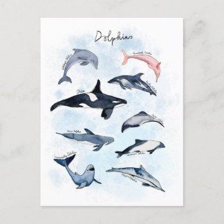 Carte Postale Thème de fête dauphin dessin aquarelle pour enfant