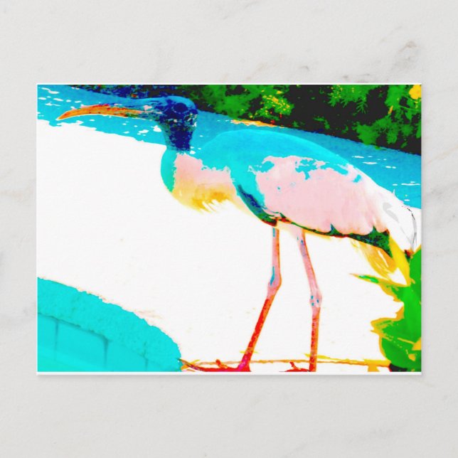Carte Postale Thème graphique de cigogne tropicale (Devant)