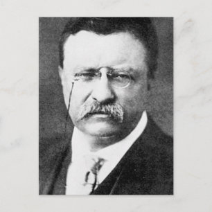 Carte Postale Theodore Roosevelt