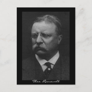 Carte Postale Theodore Roosevelt