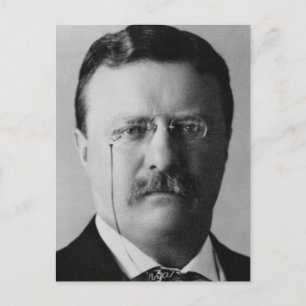 Carte Postale Theodore Roosevelt 26