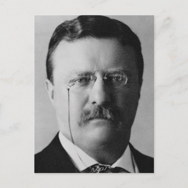 Carte Postale Theodore Roosevelt 26 (Devant)