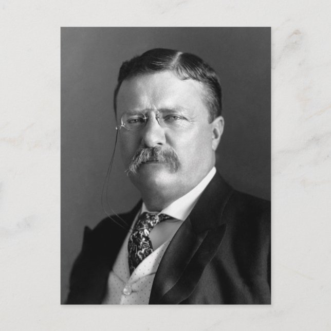 Carte Postale Théodore Roosevelt Teddy Président Républicain (Devant)
