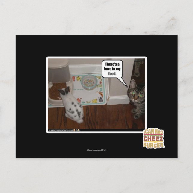 Carte Postale There's a hare in my food. (Devant)