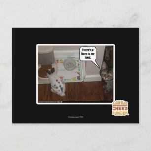 Carte Postale There's a hare in my food.