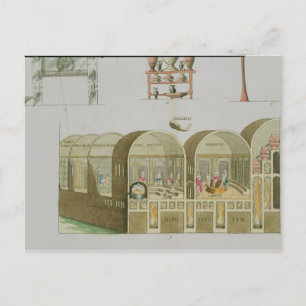 Carte Postale Thermes romains, planche de 'L'Histoire de la nati