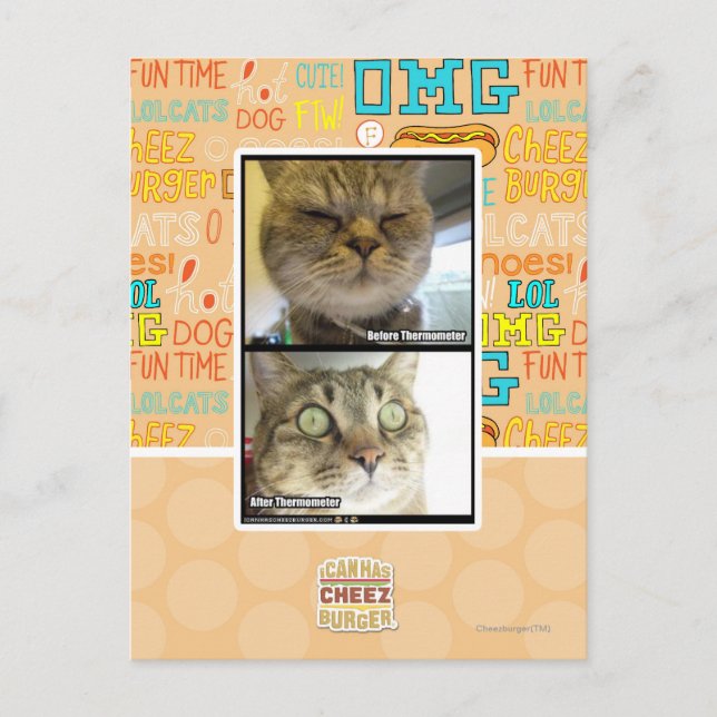 Carte Postale Thermometer (Devant)