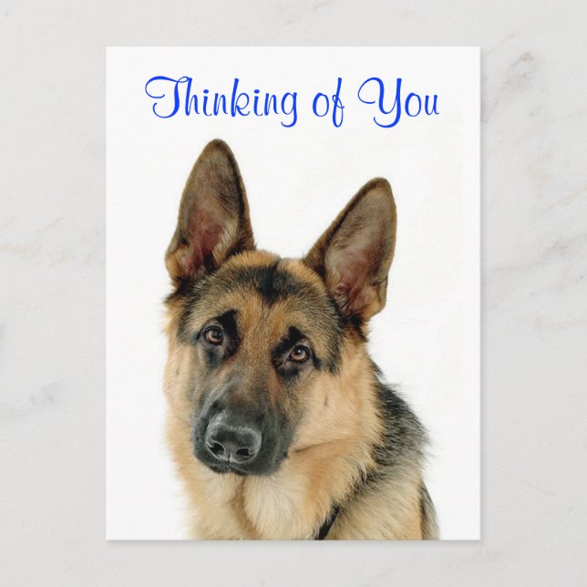 Carte Postale Thinking Of You German Shepherd Doggy Postcard (Devant)