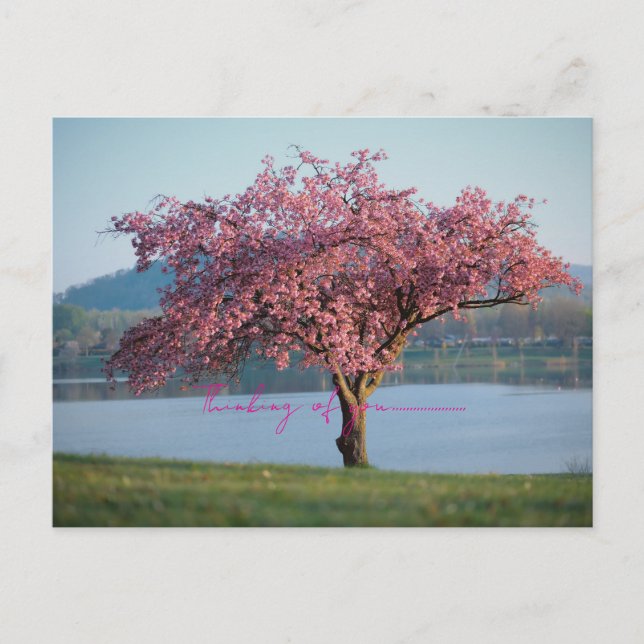 Carte Postale thinking of you nature  (Devant)