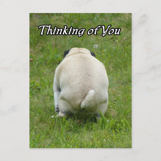 Carte Postale Thinking of You Pug Going the Bathroom (Devant)