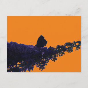Carte Postale Thistère papillon sur papillon Bush do-it-yourself