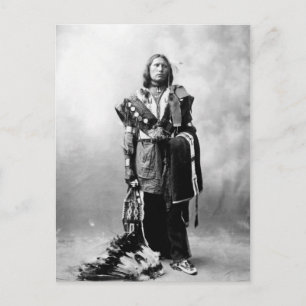 Carte Postale Thomas American Horse