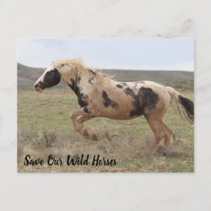 Carte postale Thor McCullough Peaks