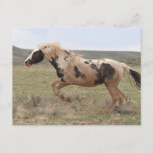 Carte Postale Thor McCullough Peaks