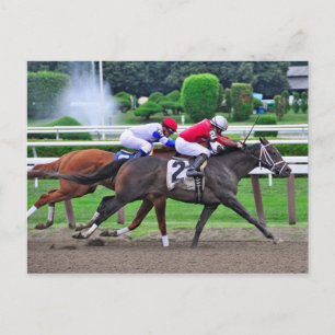 Carte Postale Thoroughbred Racing au circuit historique de Sarat