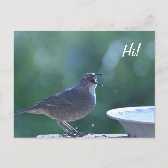 Carte postale Thrasher Splasher (Devant)