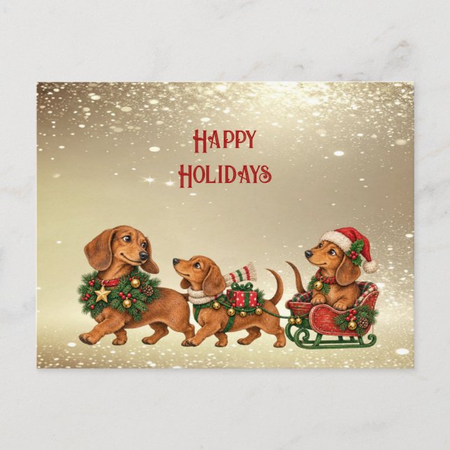 Carte Postale Three Festive Dachshund (Devant)