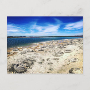 Carte Postale Thrombolites, Lac Thetis Ouest Australie