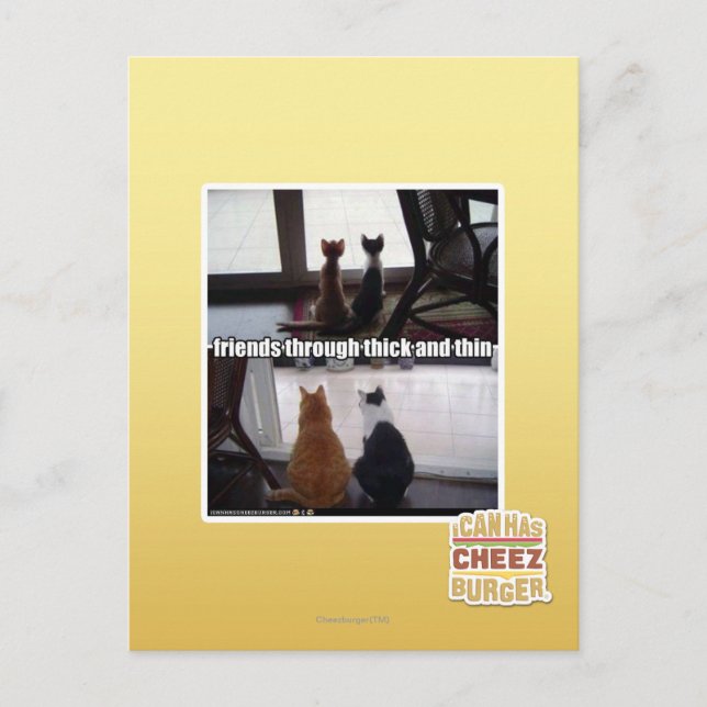 Carte Postale Through thick and thin (Devant)