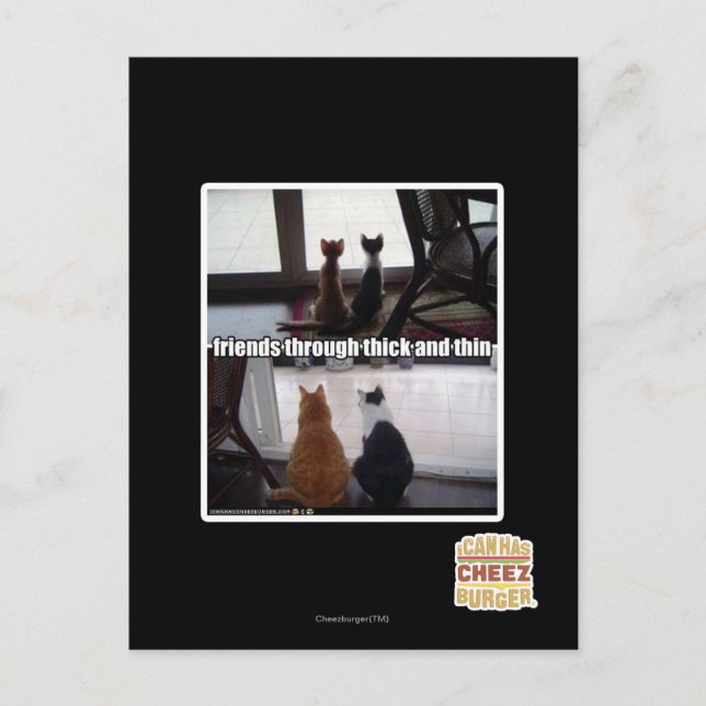 Carte Postale Through thick and thin (Devant)