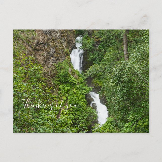Carte Postale Thunderbird Tombe Dans La Peine De Vous Penser (Devant)