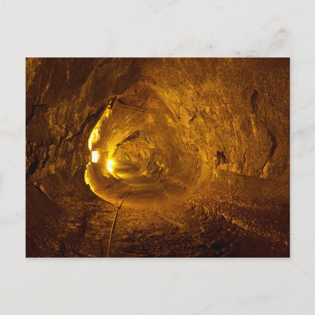 Carte Postale Thurston Lava Tube Hawaii Volcanoes National Park (Devant)