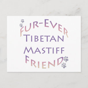 Carte Postale Tibétain Mastiff Furever ami