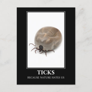 Carte Postale Ticks Parce Que La Nature Nous Hait - Parasite Fun