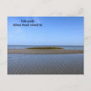 Carte Postale Tide Pools Caroline du Sud