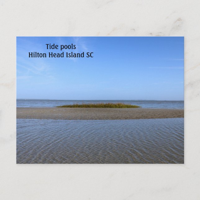 Carte Postale Tide Pools Caroline du Sud (Devant)