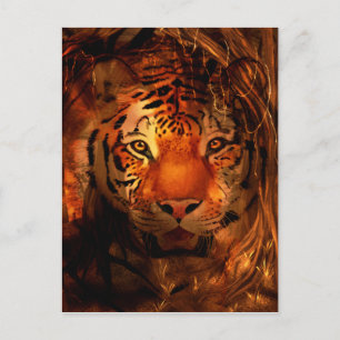 Carte Postale Tiger