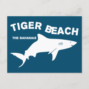 Carte Postale Tiger Beach - Bahamas Plongée avec requins