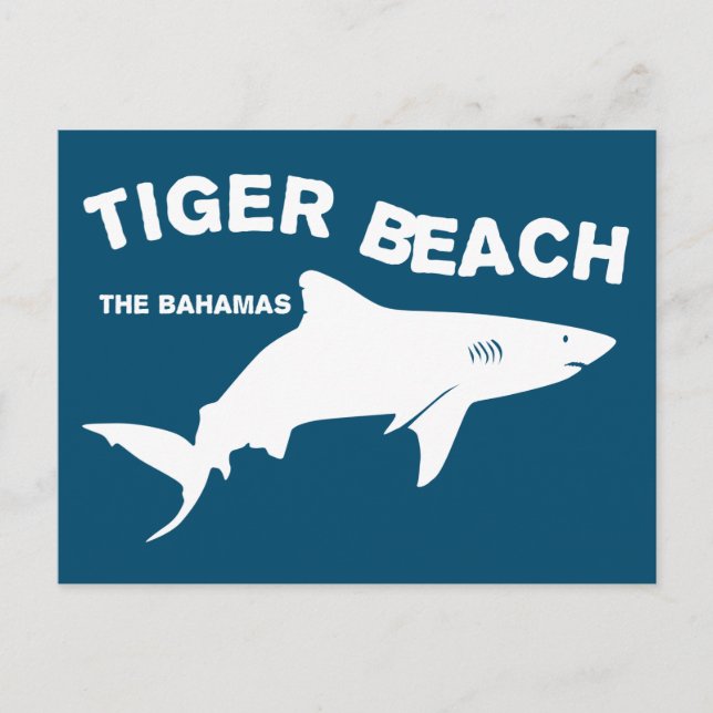 Carte Postale Tiger Beach - Bahamas | Plongée avec requins (Devant)