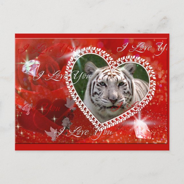 Carte postale Tiger blanc (Devant)