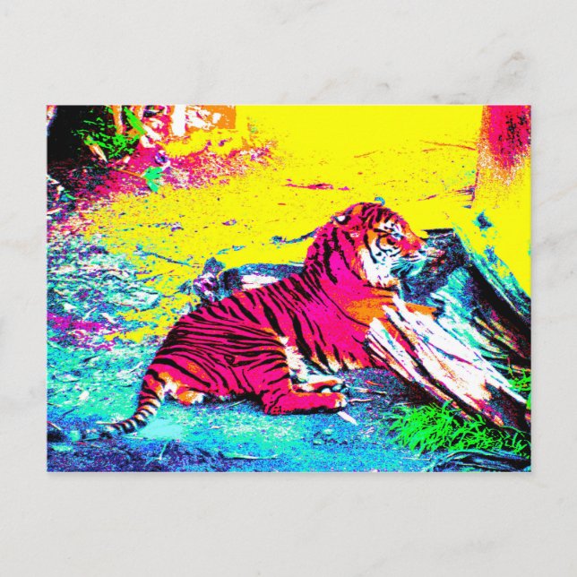 Carte Postale Tiger brillant (Devant)