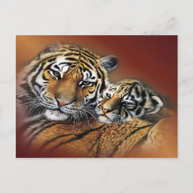 Carte postale Tiger & Cub (Devant)
