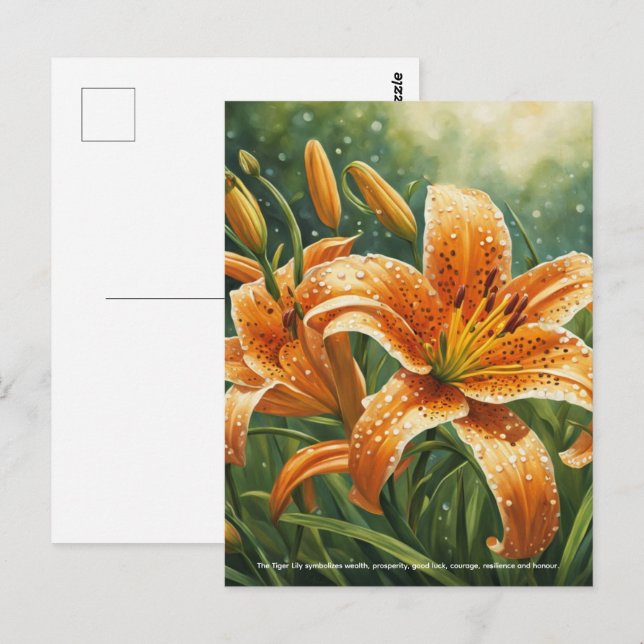 Carte Postale Tiger Lily Symbolism (Devant / Derrière)