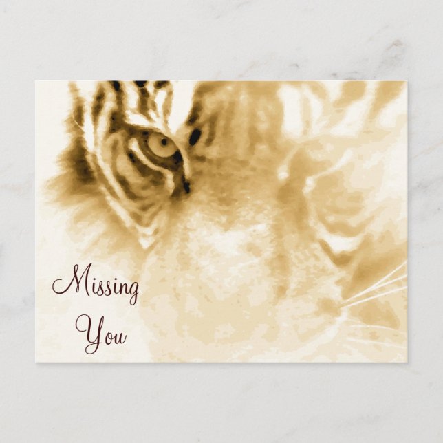Carte Postale , Tiger Love_ (Devant)