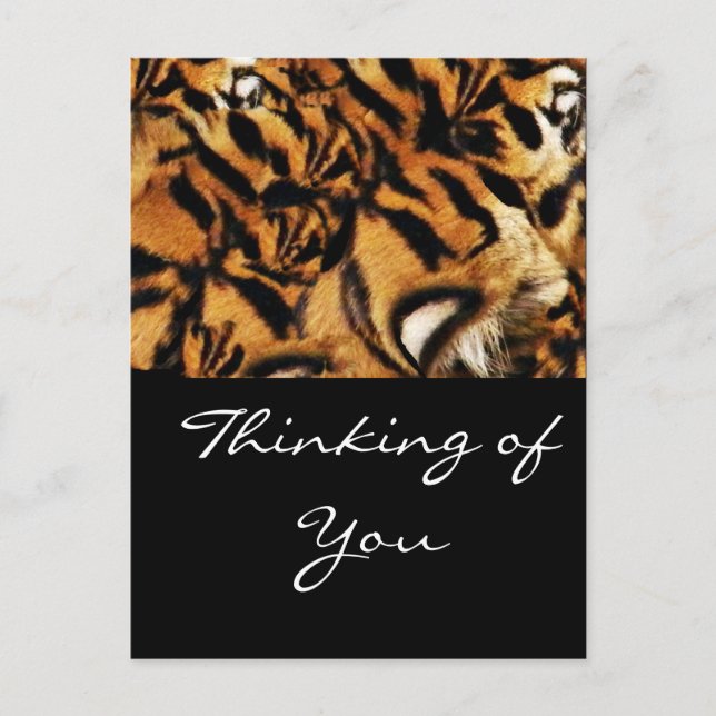 Carte Postale Tiger Love_ (Devant)