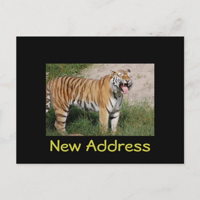 Carte postale Tiger "Nouvelle adresse" (Devant)