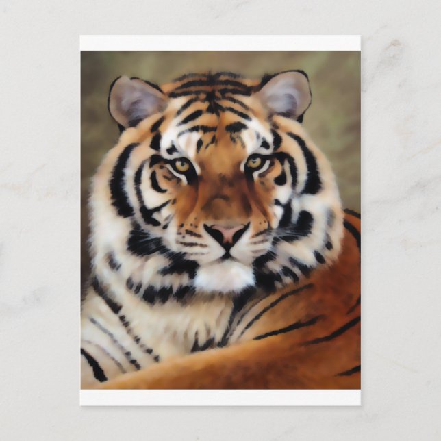 Carte Postale Tiger par Psyco (Devant)